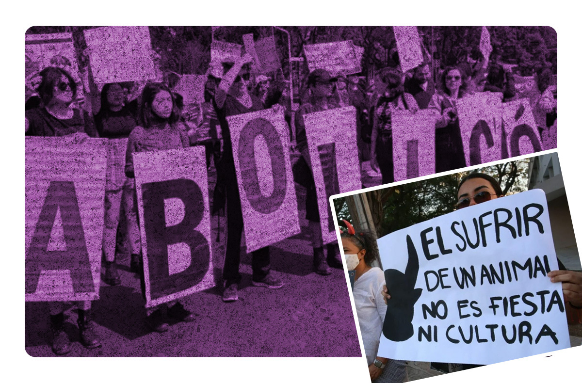 Jueza suspende de manera provisional las corridas de Toros en la CDMX