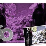 Aseguran al menos siete toneladas de despensas y propaganda electoral para presunta compra de votos en la alcaldía Álvaro Obregón