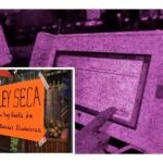 cuando empieza la ley seca por las elecciones 2024