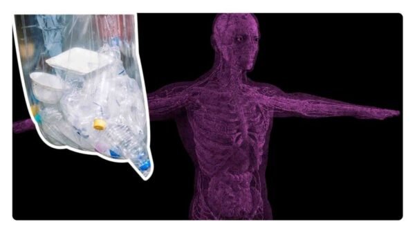 estudio de microplásticos en testículos humanos