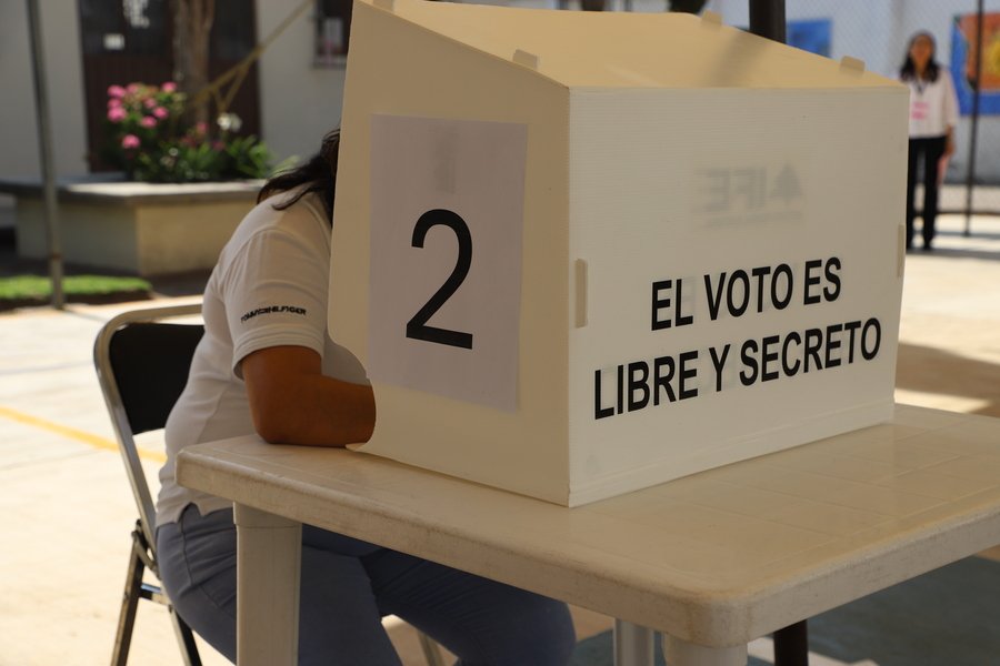 observadores electorales extranjeros elecciones 2024