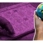 observadores electorales extranjeros ine