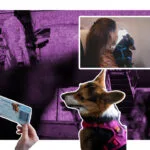 Perros viajan seguros en las aerolineas