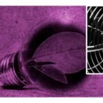 ventiladores que gastan menos energia electrica