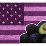 EU Y México llegan a acuerdo; plan de seguridad permitirá que se siga comercializando aguacate y mango de Michoacán