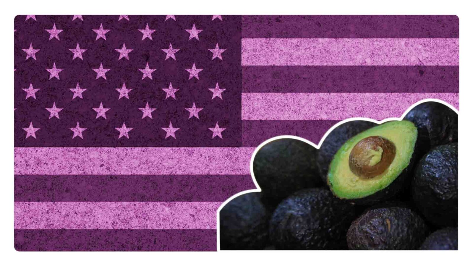 EU Y México llegan a acuerdo; plan de seguridad permitirá que se siga comercializando aguacate y mango de Michoacán