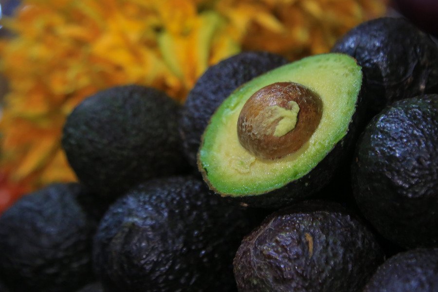 Ken Salzar negocia la exportación de aguacate a eu