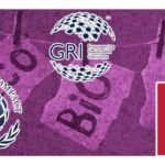 Greenwashing vs. Asociaciones Civiles: GRI, Sistema B, Green P.