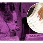 cuantas boletas hay en las casillas especiales