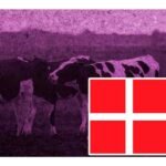 dinamarca impuesto por gases de sus vacas