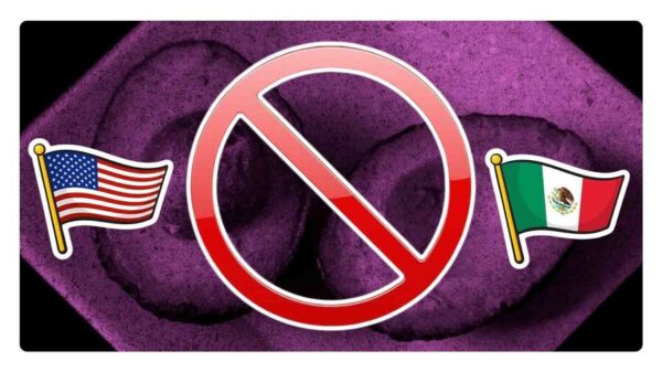 conflicto por el que suspendieron la exportación de aguacate a eu