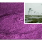 estados a los que llegará el huracán alberto