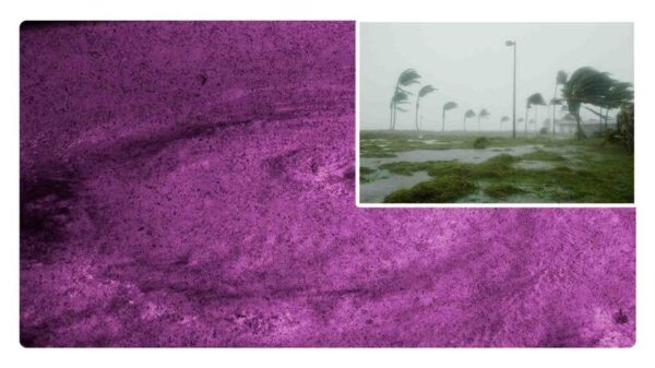 estados a los que llegará el huracán alberto