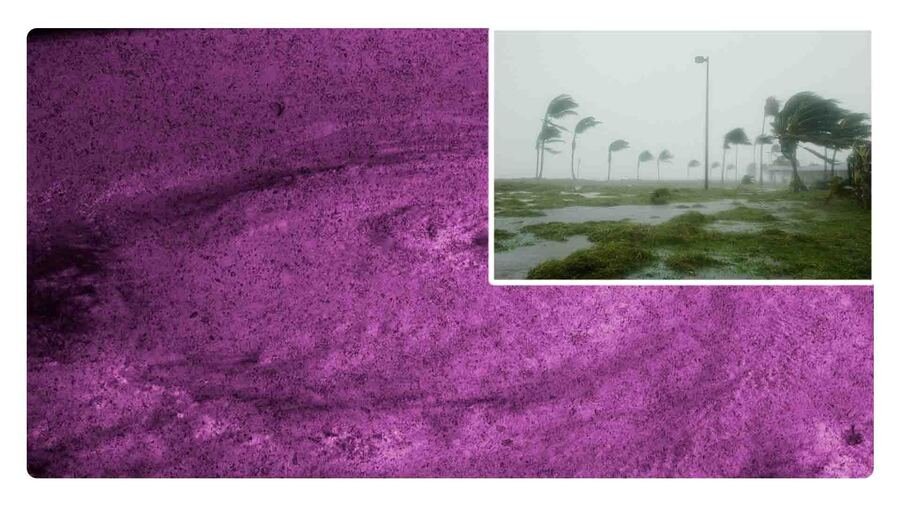 estados a los que llegará el huracán alberto