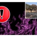 Segob reporta 12 incendios forestales activos en Puebla