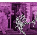 quien es julian assange que es wikileaks liberaron