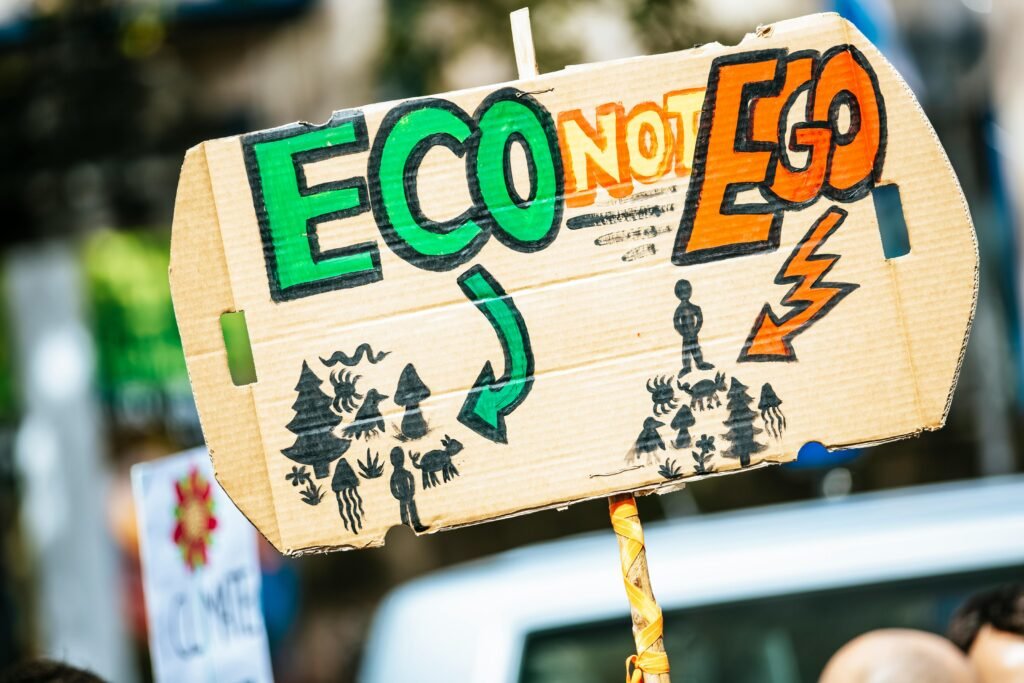 Greenwashing vs. Asociaciones Civiles: GRI, Sistema B, Green P.