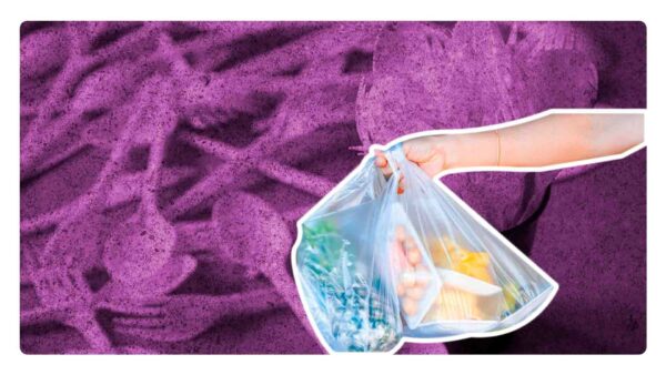 ¿Cuáles serán los plásticos prohibidos en los establecimientos?