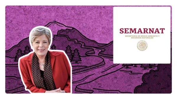 quien es la titular se la semanart alicia barcena