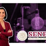 luz elena gonzalez secretaria energia