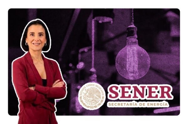 luz elena gonzalez secretaria energia