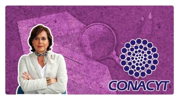 quien es rosaura ruiz titular de la secretaria de ciencia