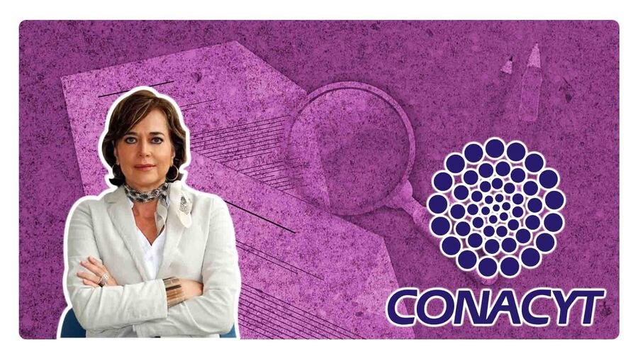 quien es rosaura ruiz titular de la secretaria de ciencia