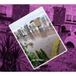 se desborda canal de chalco inundaciones estado de méxico