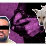 Detienen a Benjamín "N", presunto asesino de seis perros en Ixtapaluca, Edomex; este es el caso