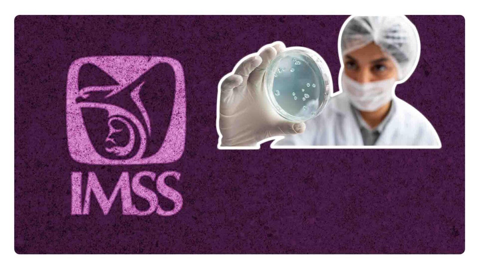 IMSS advierte sobre los riesgos de la zoonosis