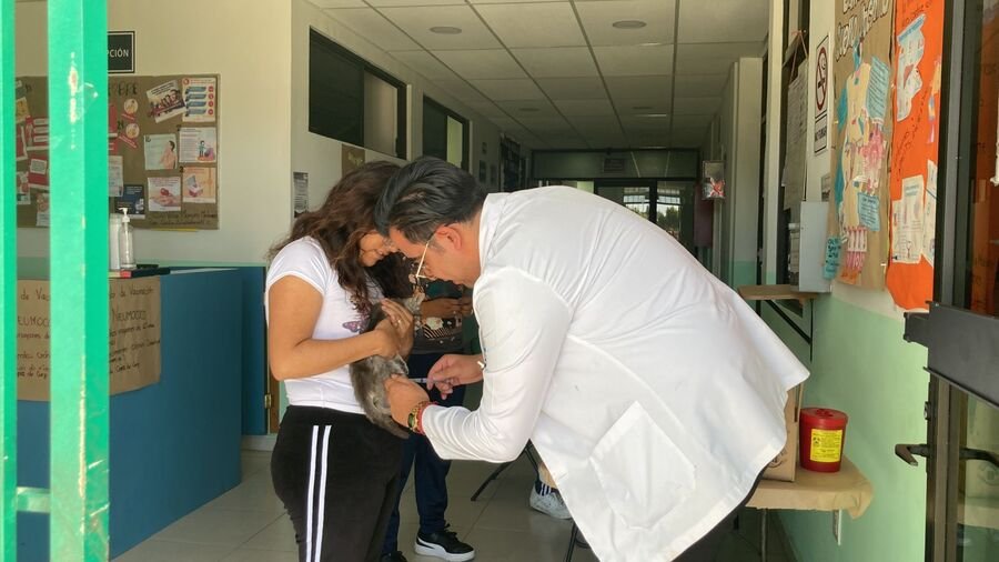 ¿Mi mascota me puede enfermar? IMSS advierte riesgos sobre la zoonosis