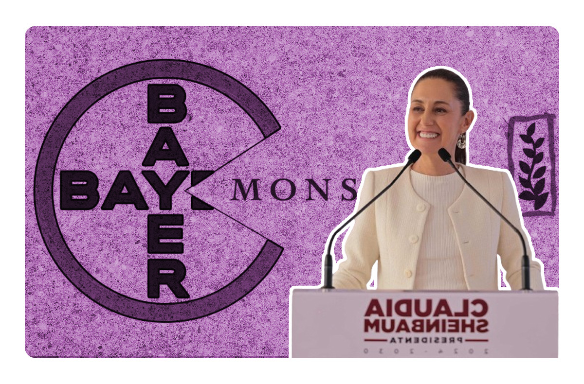 Claudia Sheinbaum celebra retiro del amparo de Monsanto contra glifosato