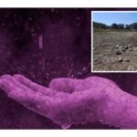 ¿Cómo van los niveles de agua del Sistema Cutzamala?