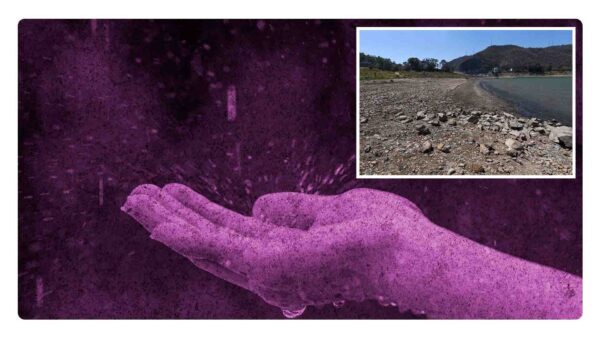 ¿Cómo van los niveles de agua del Sistema Cutzamala?