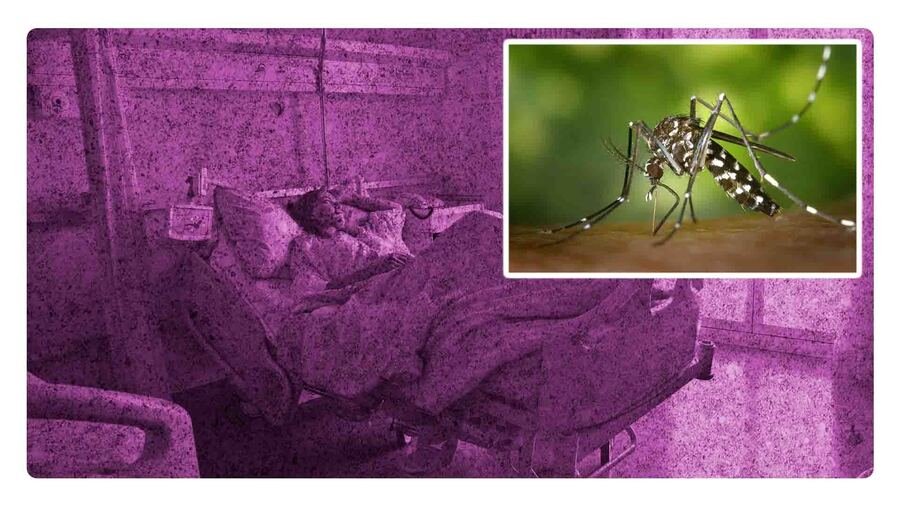 aumentan casos de dengue en mexico