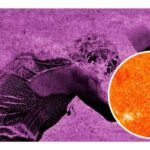 Estados con la canicula 2024