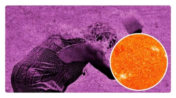 Estados con la canicula 2024