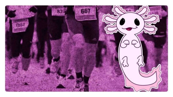 dónde será la carrera ajolotito 2024