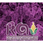 Salomón Jara ataca a la Red Nacional de Abogadas Indígenas; lo señalan de racista y clasista