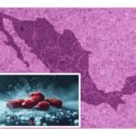 fentanilo en México