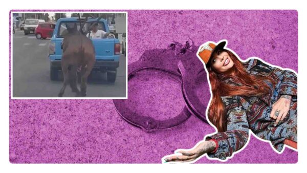 Detienen al agresor de "Hope", la mula que rescató Elena Larrea en Puebla