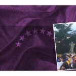 tiran estatuas de chavez en protestas de venezuela