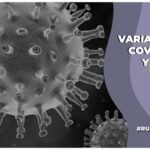 variantes de covid kp.2 kp.3