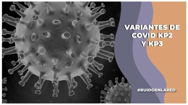 variantes de covid kp.2 kp.3