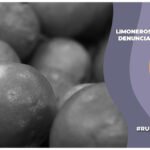 limoneros de michoacan hacen paro por extorsiones