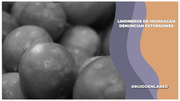 limoneros de michoacan hacen paro por extorsiones