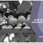 16 de Septiembre: Conciertos y desfile, horarios y lugares