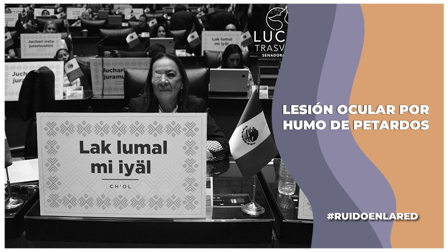 Senadora Lucía Trasviña sufre lesiones por explosión de petardos en el Senado