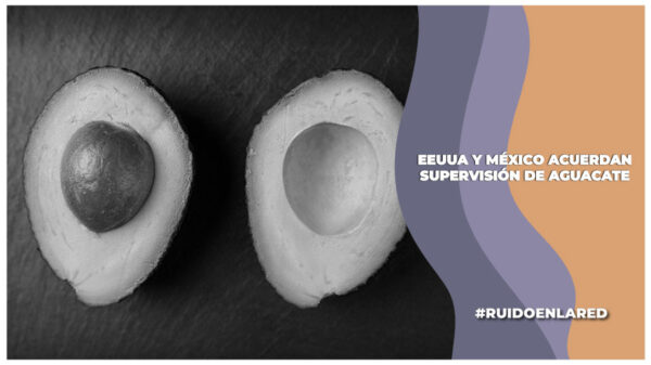 EEUUA y México llegan a acuerdo en cuanto a la supervisión del aguacate
