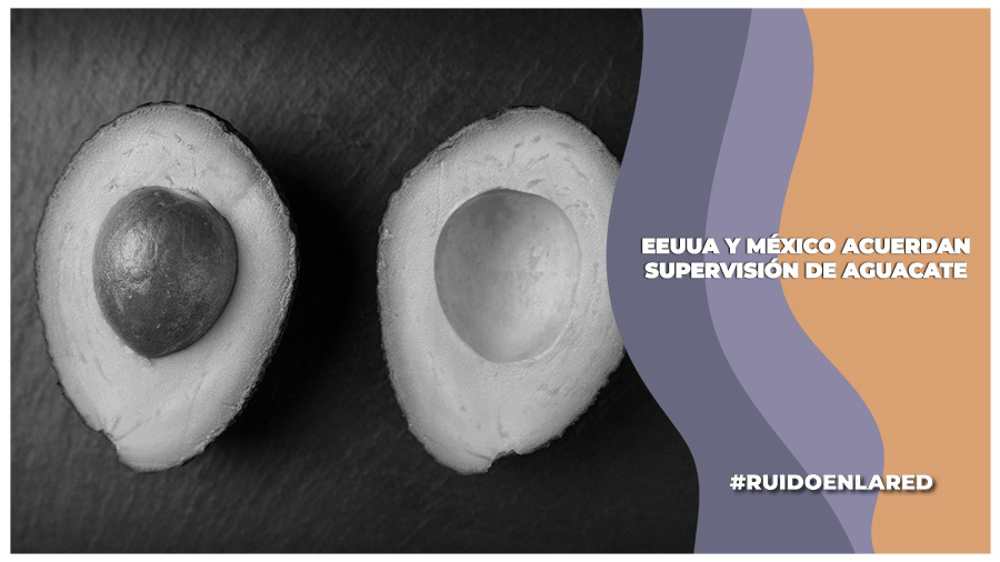 EEUUA y México llegan a acuerdo en cuanto a la supervisión del aguacate